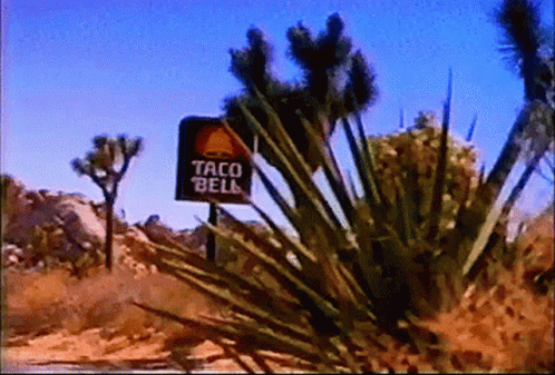 Taco Bell Fast Food GIF