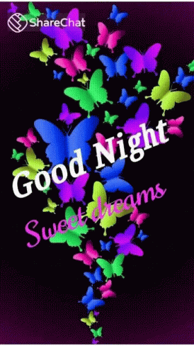 Sweet Dreams Good Night GIF - Sweet Dreams Good Night Good Eve GIFs