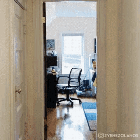 Unexpected Funny GIF - Unexpected Funny Perfectloop GIFs