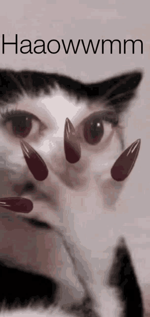 a close up of a cat 's face with long nails and the words haaowwmm above it