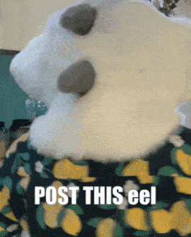a picture of a stuffed animal with the words post this cel on it