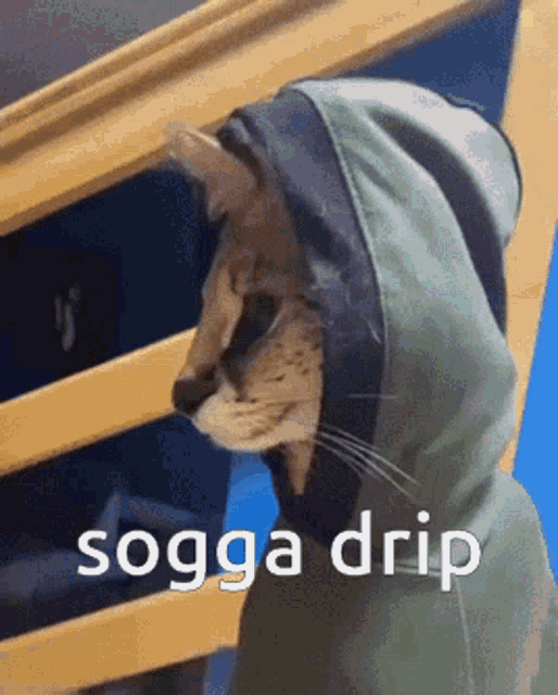 Sogga Drip GIF - Sogga Drip Floppa GIFs