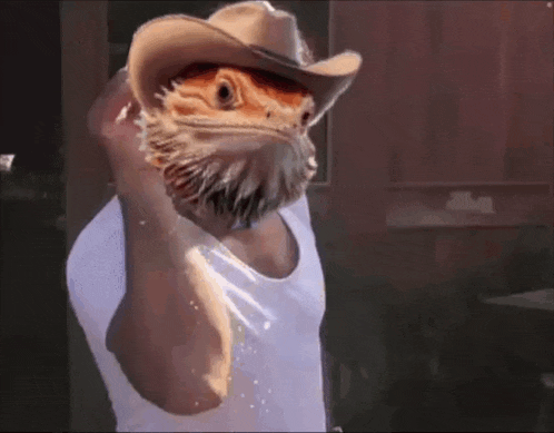 a bearded dragon wearing a cowboy hat and a white tank top