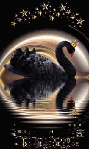 Nasserq Goodnight GIF - Nasserq Goodnight Black Swan GIFs