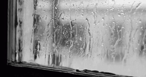 Raining Window GIF