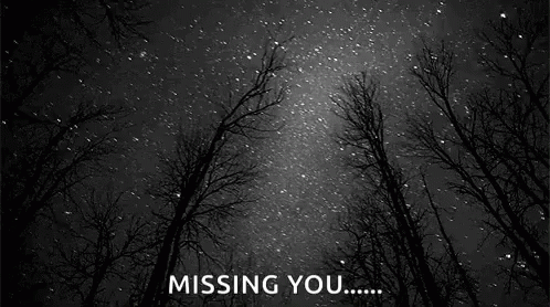 Stars Missing You GIF - Stars Missing You GIFs
