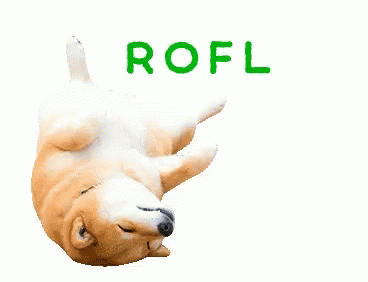 Rofl Roll GIF - Rofl Roll Doggo GIFs