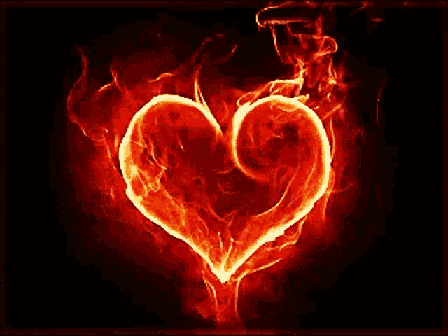 a heart made of fire on a black background .