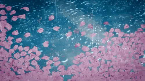 a bunch of pink petals falling into a body of water