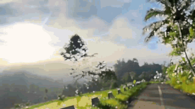 a blurry picture of a road going through a field