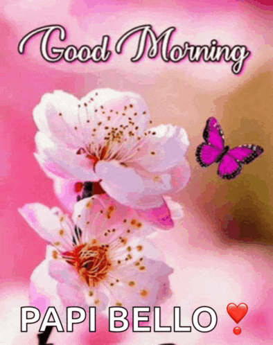 a pink flower with a butterfly and the words " good morning papi bello " on it
