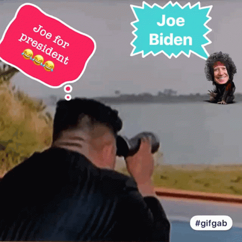 Vote For President Picture GIF - Vote For President Picture Joe Biden GIFs