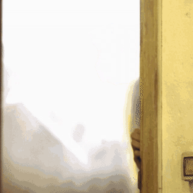 a person 's hand is visible behind a door that is open