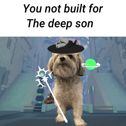 a dog wearing a hat and holding a wand with the words " you not built for the deep son " on the bottom