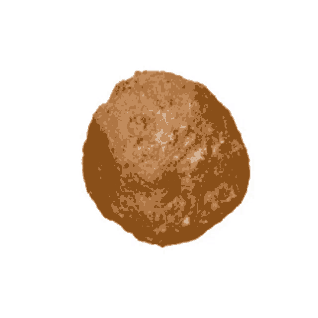 a brown cookie with a white background is shown