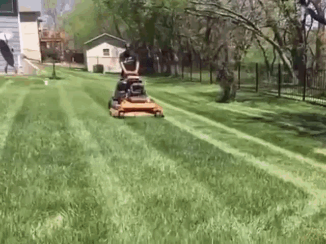 a person is riding a lawn mower on a lush green lawn .