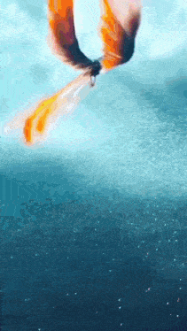 a bird with orange wings is flying over a body of water