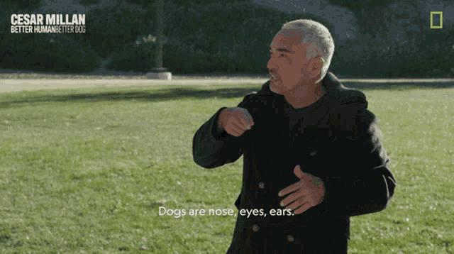 a man in a black coat stands in a grassy field and says dogs are nose eyes ears