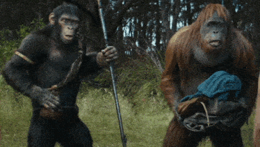 a couple of monkeys standing next to each other one holding a stick