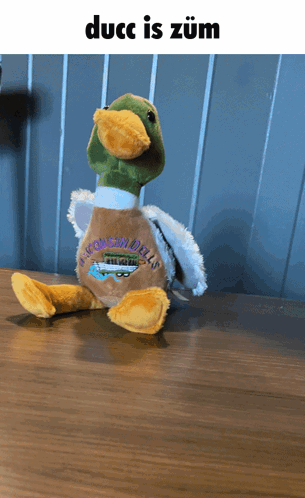 Duck Zoom GIF - Duck Zoom Fast GIFs