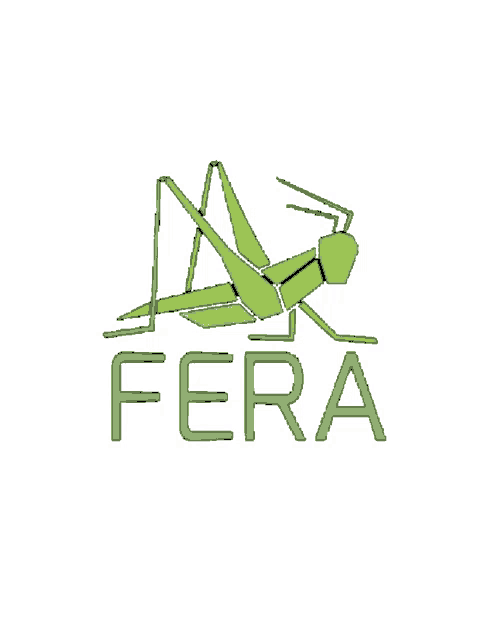 a drawing of a grasshopper with the word fera below it