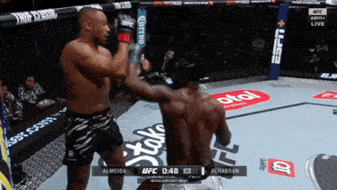 a ufc fight between almeida and alhassan is going on