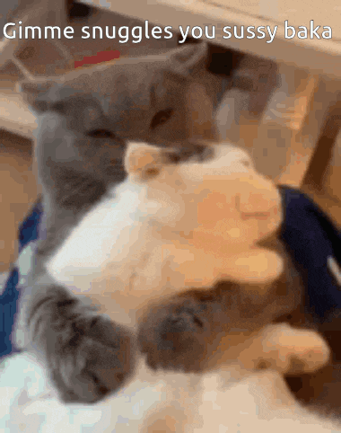 a cat is laying down with the words gimme snuggles you sussy baka