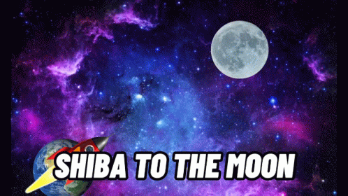 Shiba Shiba Token GIF - Shiba Shiba Token Shiba To The Moon GIFs