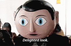 Delighted Look GIF - Delighted Look GIFs