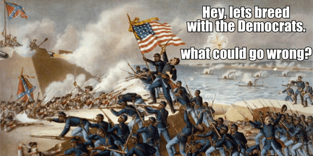 a painting of soldiers fighting with the caption hey lets breed with the democrats what could go wrong