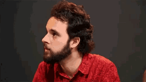 a man with a beard wearing a red shirt looks to the side