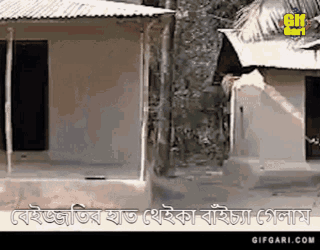 Bangla Natok Bangladesh GIF - Bangla Natok Bangladesh Mosharraf Karim GIFs