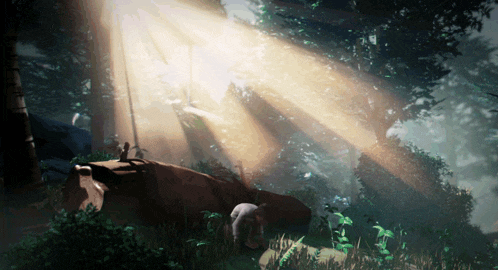 the sun shines through the trees in a lush green forest