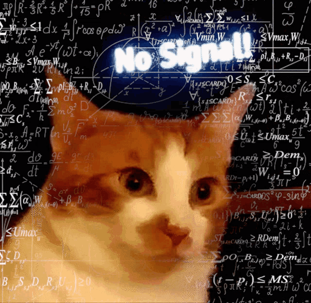 Thinknig Cat GIF - Thinknig Cat Math GIFs