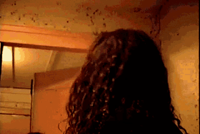a woman with curly hair is standing in front of a wall with bugs on it