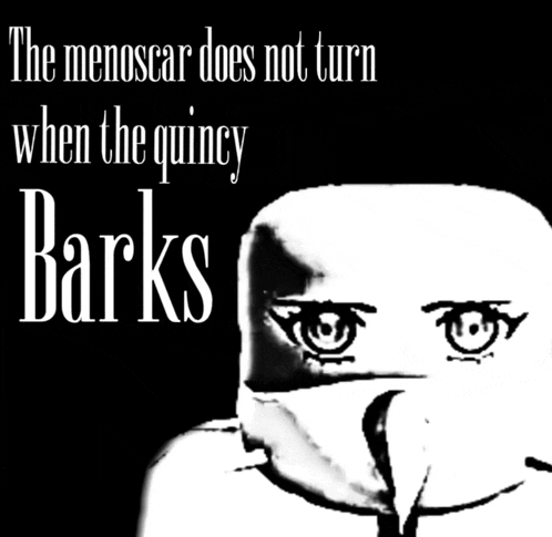 a black and white drawing of an owl with the words the menoscar does not turn when the quincy barks