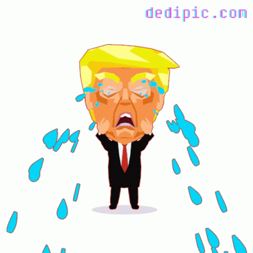 Donald Trump Trump Sad GIF - Donald Trump Trump Sad Trump Cries GIFs