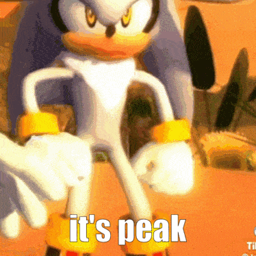 a picture of sonic the hedgehog with the words it 's peak on the bottom