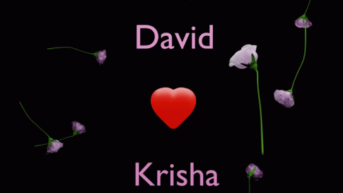 David Krisha Krisha GIF - David Krisha Krisha David GIFs
