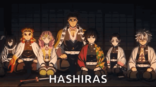 Hashira GIF - Hashira GIFs