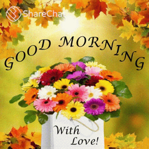 Good Morning Morning GIF - Good Morning Morning Flowers GIFs