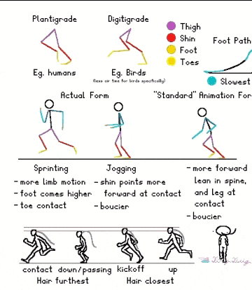 a diagram showing the different stages of a person 's running
