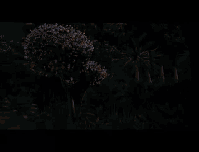a group of cartoon animals standing next to each other in the dark .