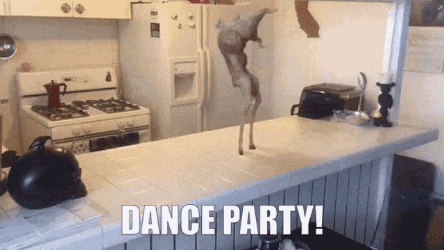 Attacus Dance GIF - Attacus Dance Dance Party GIFs