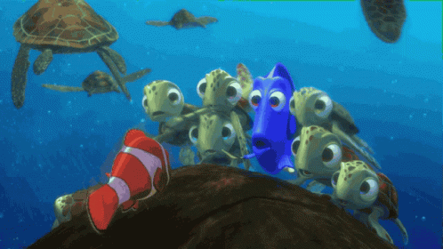 Finding Nemo GIF - Finding Nemo Dory GIFs