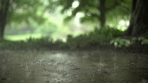 the rain is falling on the ground and trees in the background