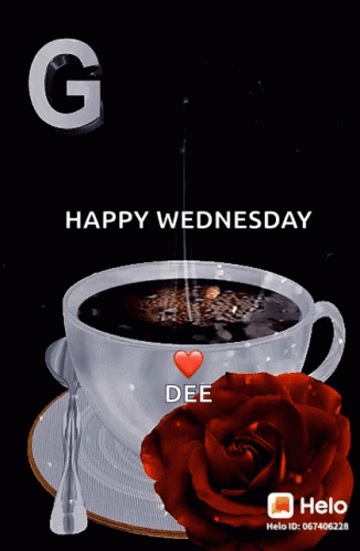 Good Morning Dee GIF - Good Morning Dee Rose GIFs