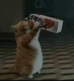 a cat is holding up a box that says ' coca cola ' on it