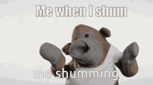 Shum Shumming GIF - Shum Shumming Monkey Shum GIFs
