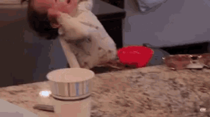 a person is sitting at a table drinking from a paper cup .